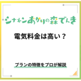 シナネンあかりの森でんきの料金はお得?プランの特徴を解説