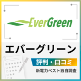 エバーグリーン電気は高い？プランの仕組みを解説