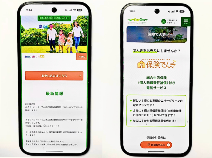 エバーグリーンのでんきユニークなプラン
