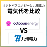 オクトパスエナジーは九州電力より高いか比較!お得になるケースは?