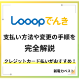 Looopでんきの支払い方法や変更の手順を完全解説!
