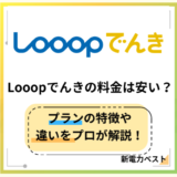 Looopでんきの料金は高い?大手電力会社との違いを解説