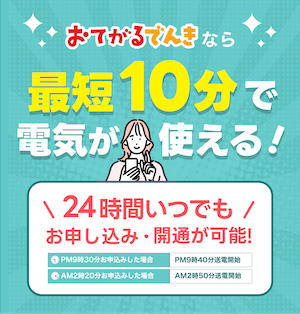 おてがるでんき24時間即日開通