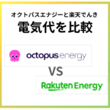楽天でんきとオクトパスエナジーの電気代を比較