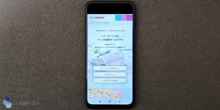 格安SIM 50ギガ イオンモバイル