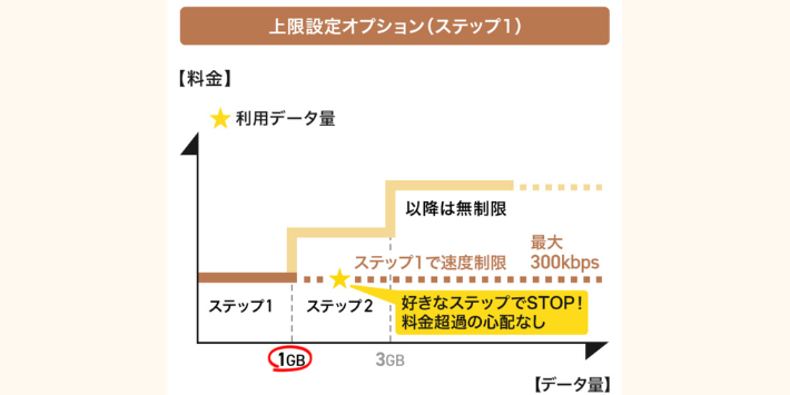 ドコモの上限設定オプション概要