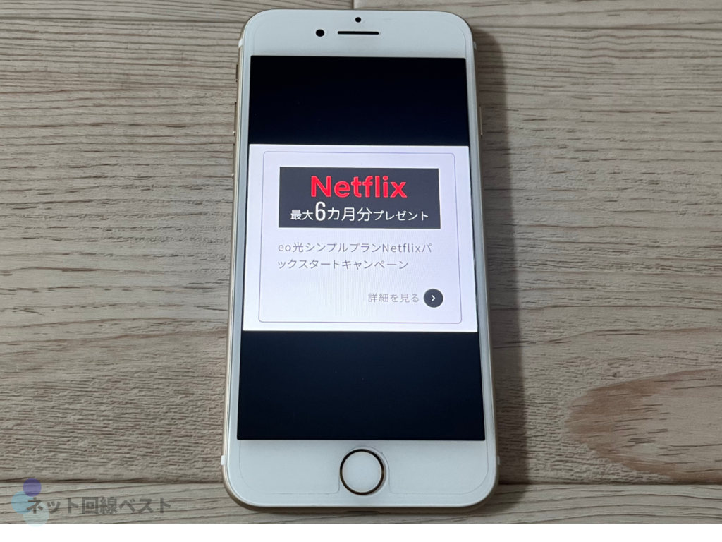 eo光シンプルプランNetflixパックスタートキャンペーン