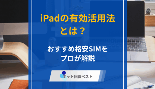iPadの有効活用法とは？　おすすめ格安SIMをプロが解説