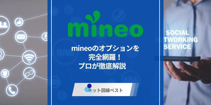 mineoのオプションを完全網羅！　プロが徹底解説　