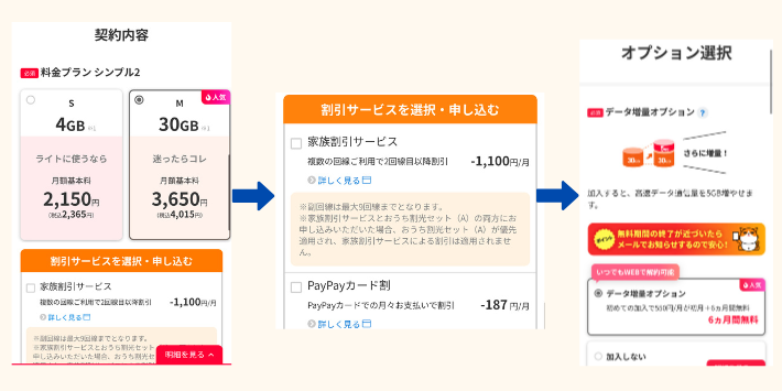契約プランとオプション選択を行う